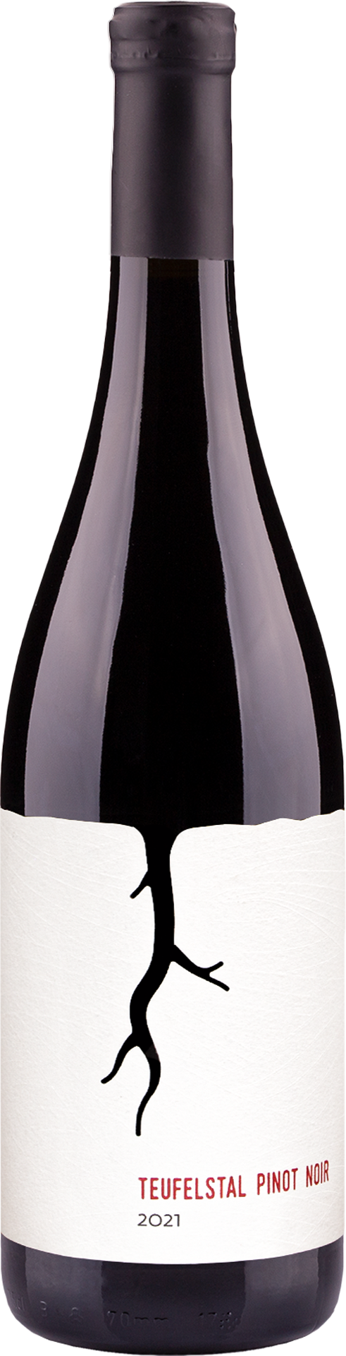 Teufelstal Pinot Noir 