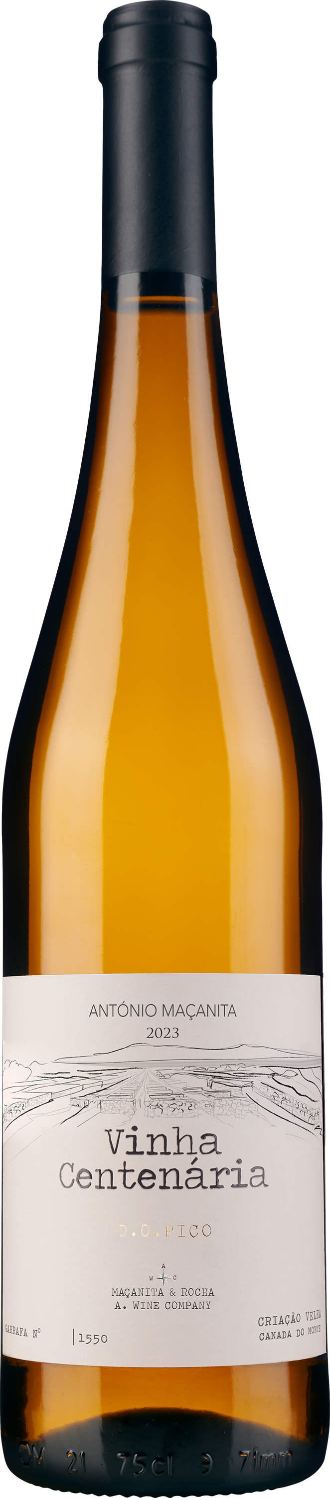Vinha Centenaria Acores 