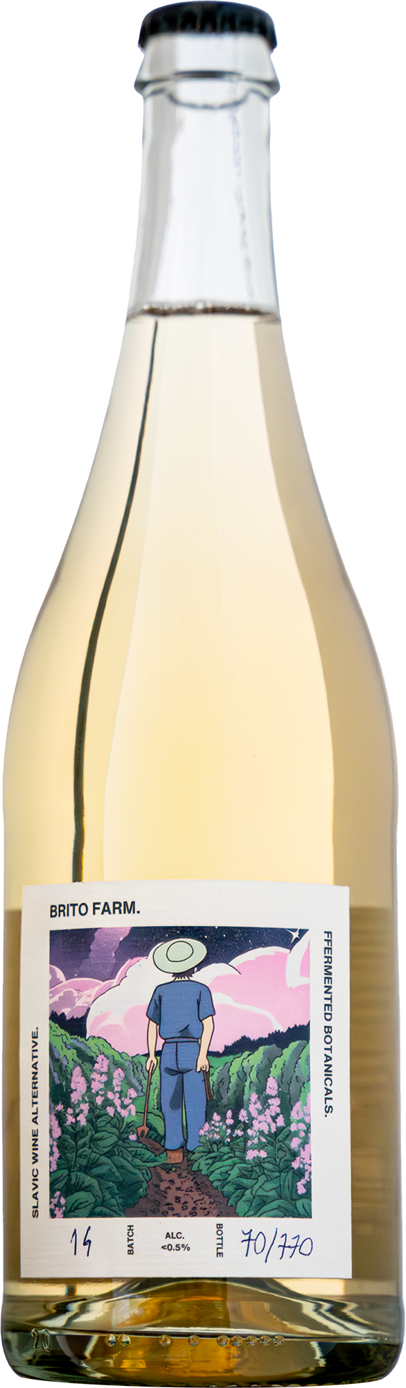 Ferment Ziołowe Proxy