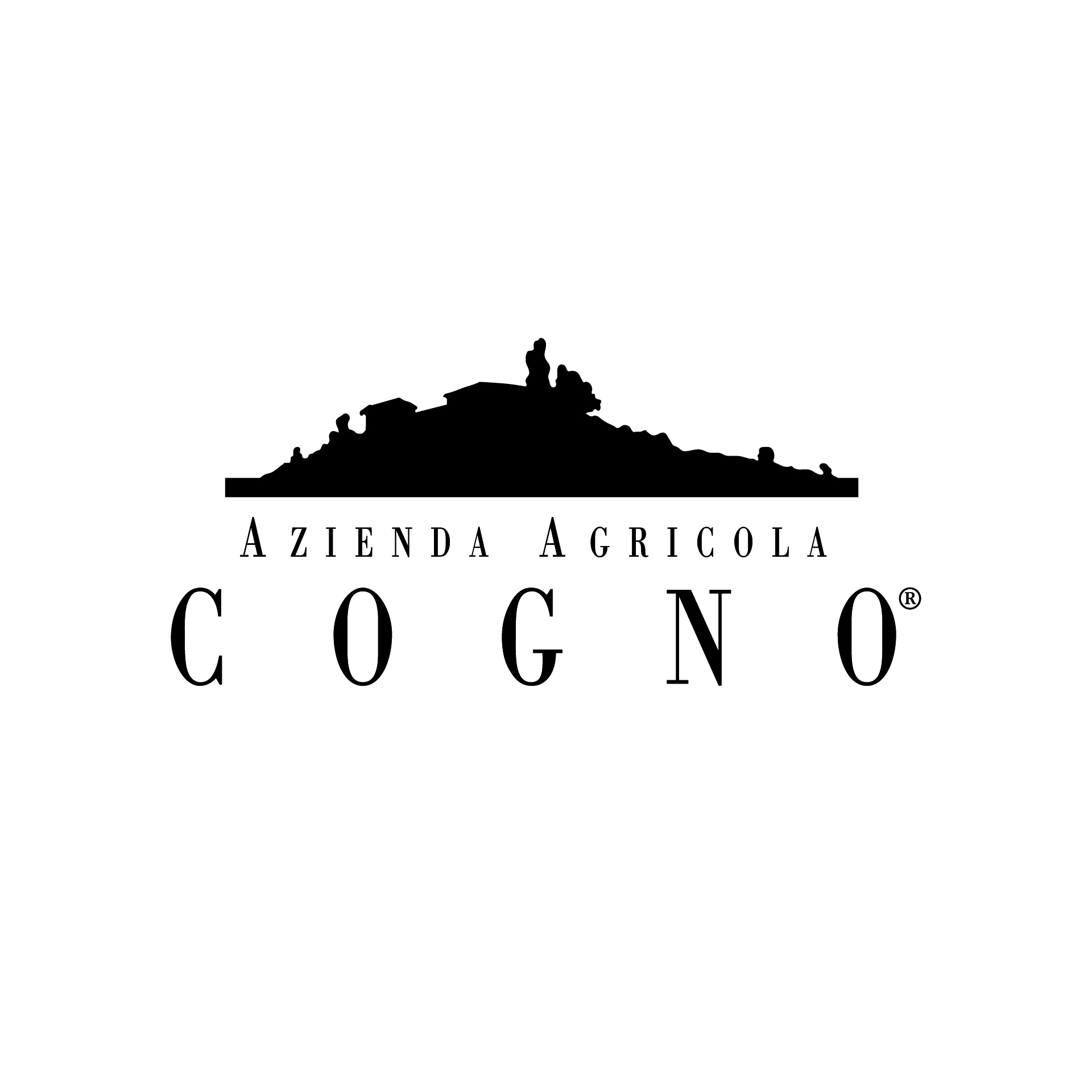 Elvio Cogno