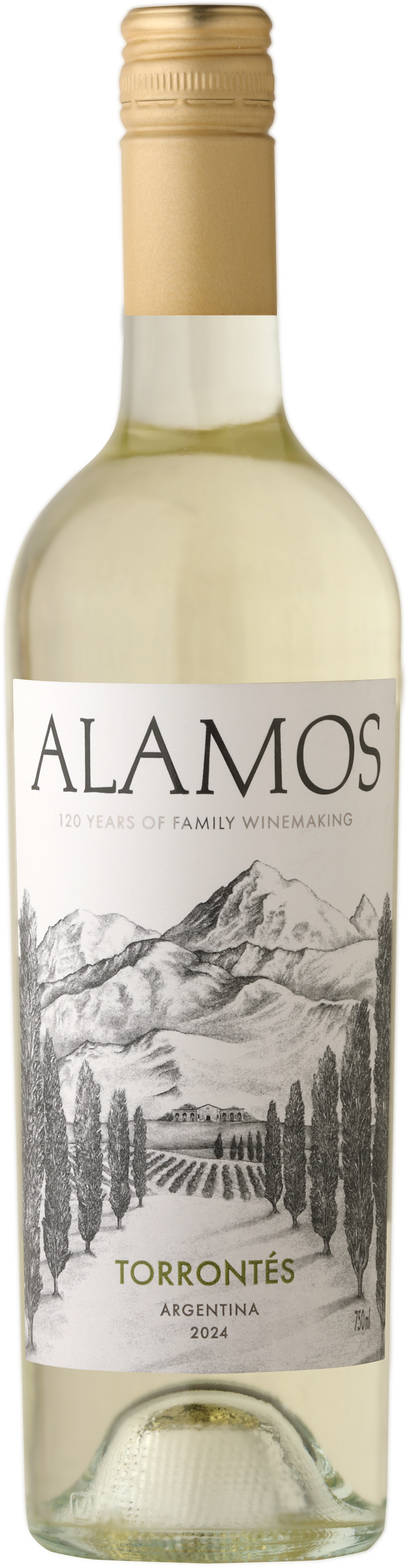 Alamos Torrontes Alamos Torrontes