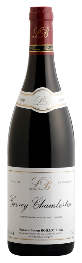 Gevrey-Chambertin 2021