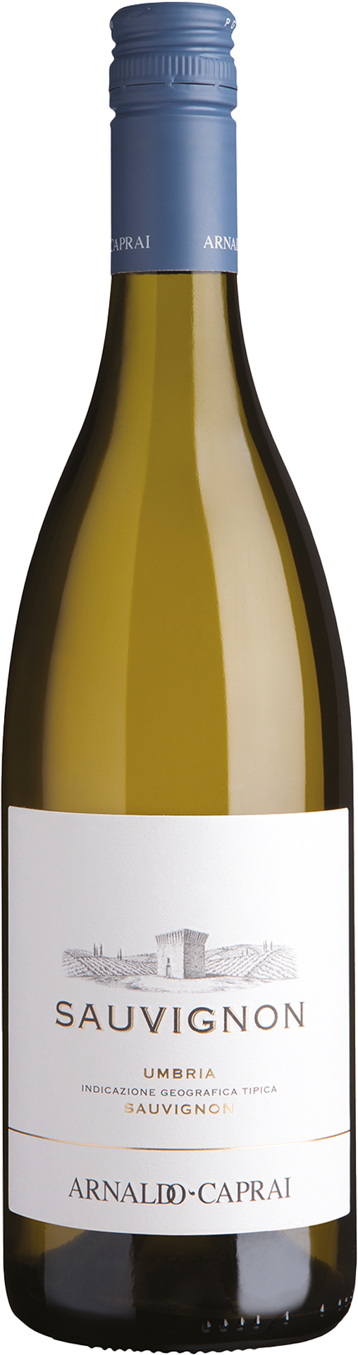 Sauvignon 