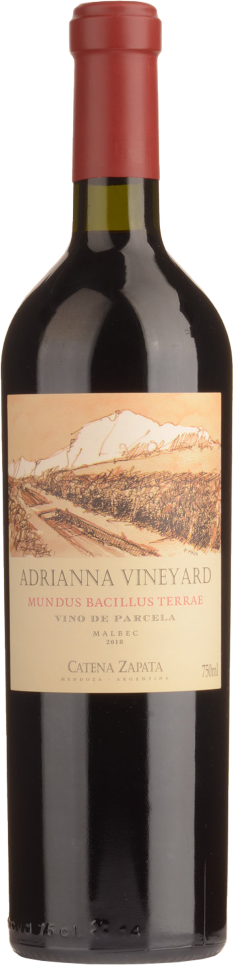 "Mundus Bacillus Terrae" Adrianna Vineyard 